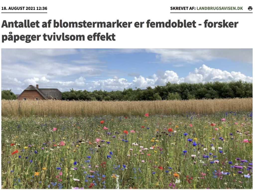 Dette billede har en tom ALT-egenskab (billedbeskrivelse). Filnavnet er Blomstermarker-1-1024x766.jpg
