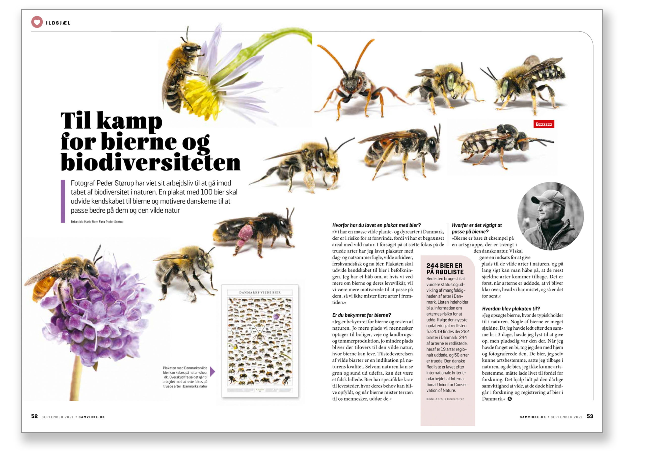 Til for bierne og biodiversiteten | NATURBESKYTTELSE.DK